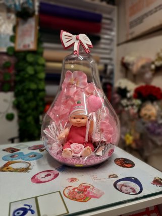 Jumbo Boy Kız Bebek Teraryum