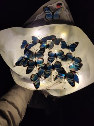 Işıklı Kelebek buketi | Kütahya Nergiz Çiçekçilik