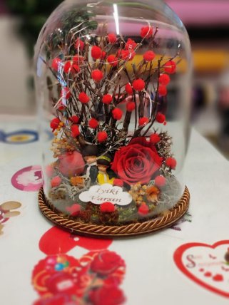 Cam içinde Şoklanmış Gül | Kütahya Nergiz Çiçek