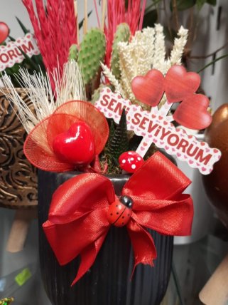 Saksıda kaktüs aranjman