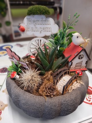 Seramik Saksı Sukulent Aranjman| Kütahya Nergiz Çiçekçilik