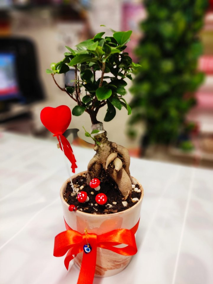 Seramikte Mini Bonsai - Kütahya çiçekçi