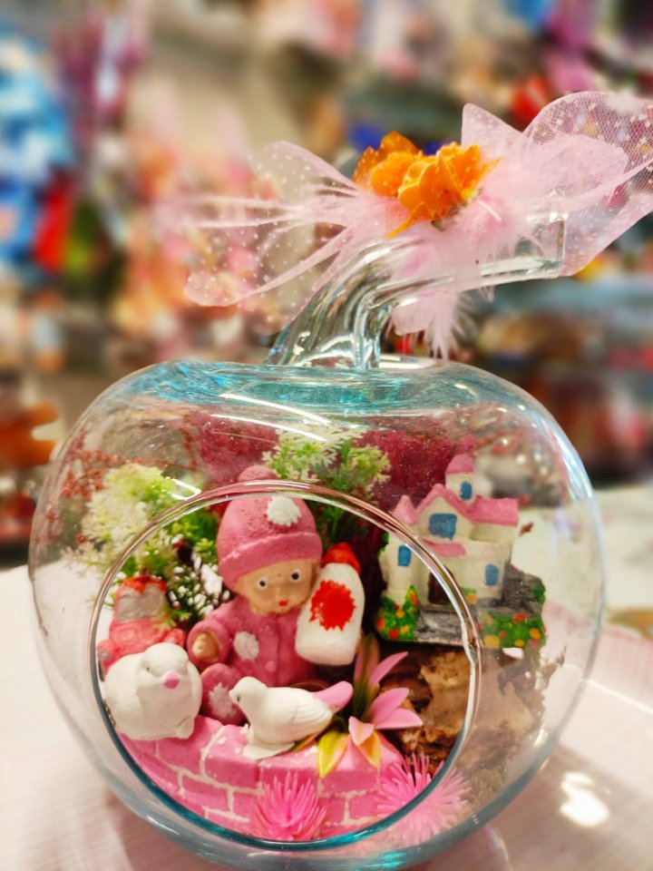Küçük Elma Kız Bebek Teraryum - Kütaya terrarium