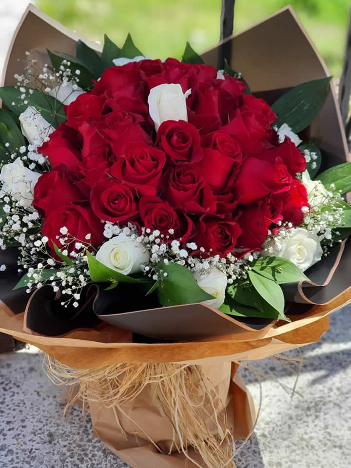 Beyaz Çemberli Kırmızı Güller - Kütahya çiçek siparişi
