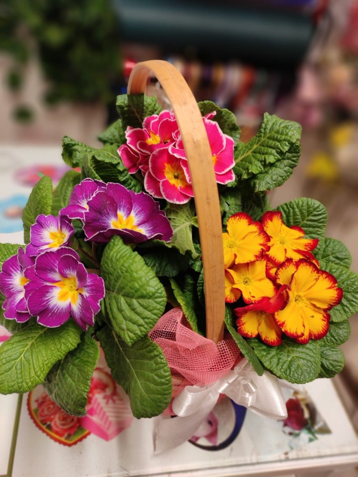 Çuha Sepeti, Kütahya Nergiz Çiçekçilik