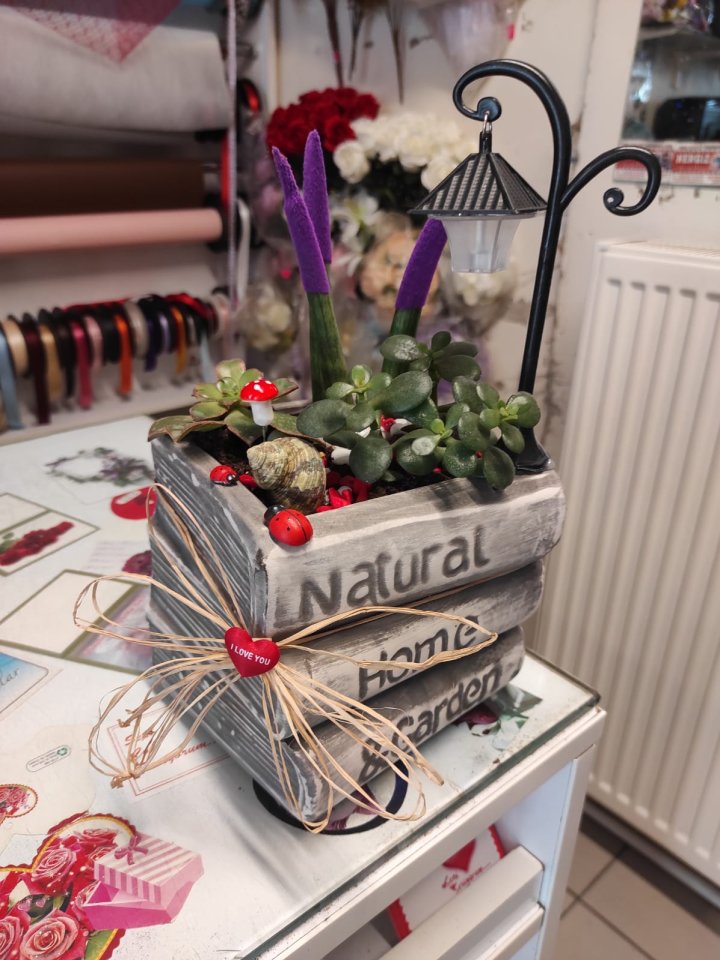 Gri Seramik Kitap Saksı Paşa Kılıcı Aranjman | Kütahya Nergiz Çiçekçilik