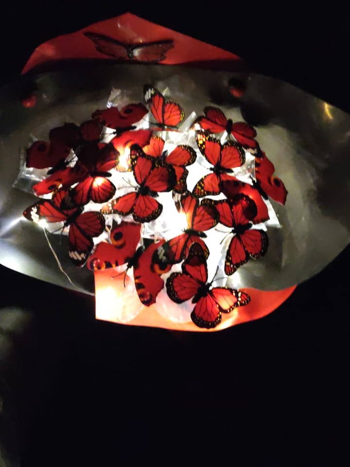 Işıklı Kelebek buketi | Kütahya Nergiz Çiçekçilik