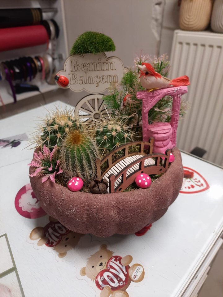 Canlı Sukulentli Aranjman | Kütahya Nergiz Çiçekçilik