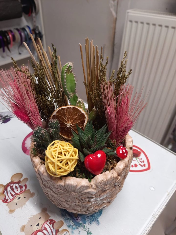 Şekilli Saksı Sukulent Aranjman | Kütahya Nergiz Çiçekçilik