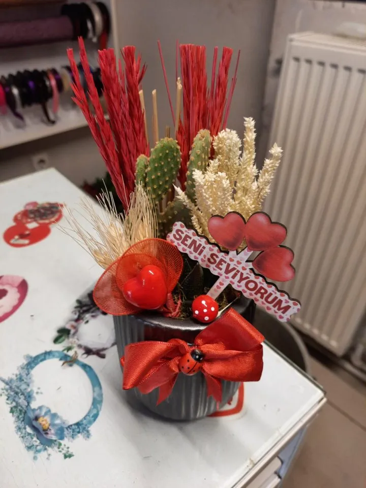 Saksıda kaktüs aranjman