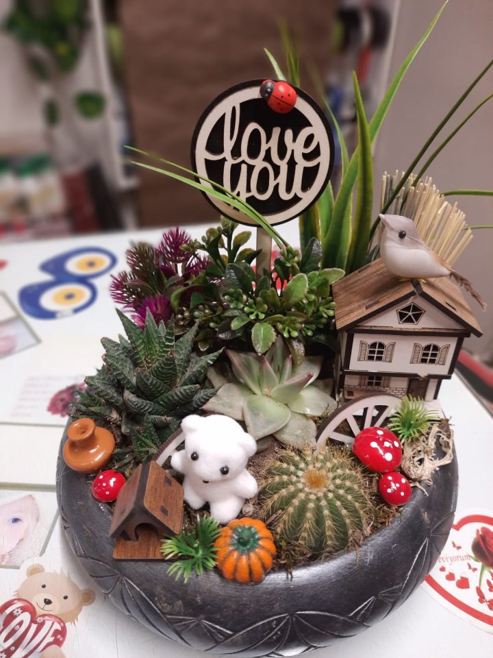 Otantik Teraryum Model 2 - Kütahya Çiçekçi