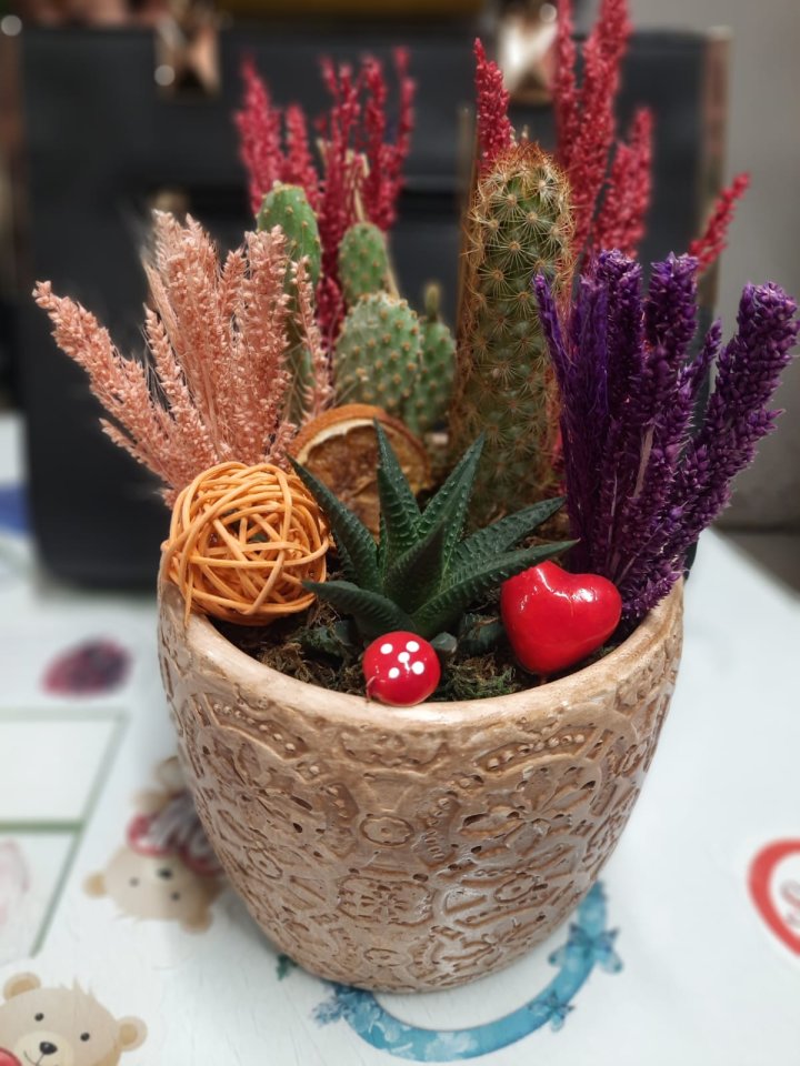 Otantik Teraryum Model 3 - Kütahya Nergiz Çiçekçilik