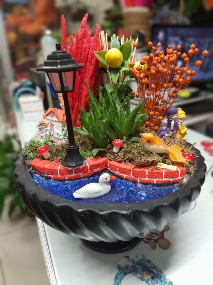 Büyük oval Seramik Saksılı Sukulent Aranjman | Kütahya Nergiz Çiçekçilik