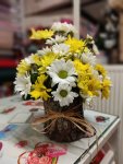 Çiçekçi - Kütükte Sarı Beyaz Krizantemler