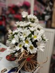 Çiçekçi - Kütükte Beyaz Krizantemler